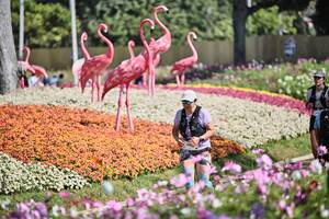 BIB: 
                            <button type="button" onclick="openModal(27793182)" class="btn btn-primary btn-sm float-right btn-popup" data-toggle="modal" data-target=".modal-high-quality">
                        <i class="fas fa-shopping-cart"></i> Add to Cart
                    </button>
                                            <button type="button" onclick="isThisMe(27793182, true)" class="btn btn-success btn-sm float-right btn-popup btn-isme hidden" data-toggle="tooltip" data-placement="bottom" title="นี่คือรูปของคุณใช่ไหม คลิกที่นี่เพื่อเอาเข้าอัลบั้ม">
                        <i class="fas fa-plus"></i> Add to album
                    </button>
                    <button type="button" onclick="isThisMe(27793182, false)" class="btn btn-warning btn-sm float-right btn-popup btn-isnotme hidden">
                        <i class="fas fa-ban"></i> Remove from album
                    </button>